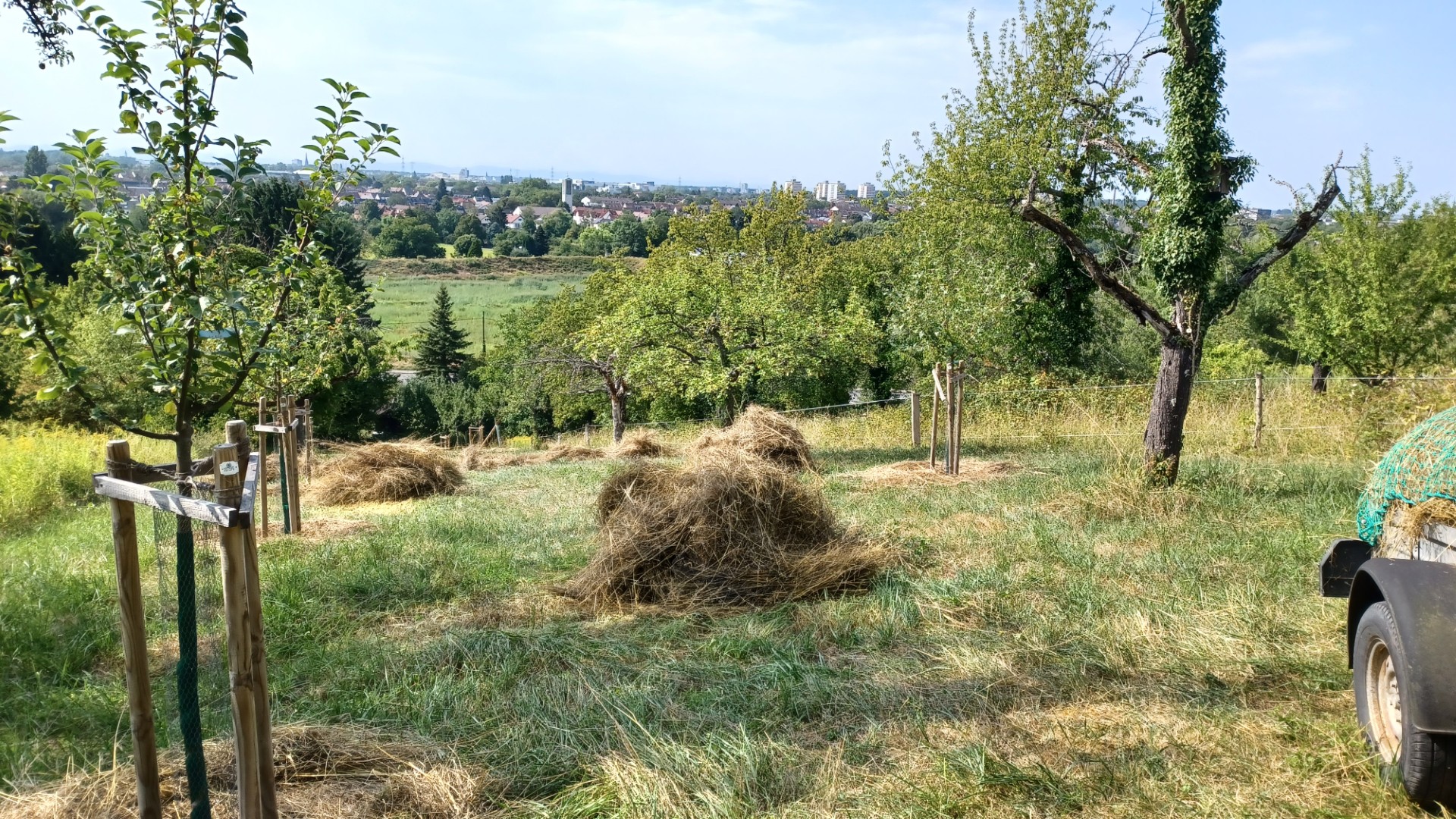 Heuhaufen.jpg
