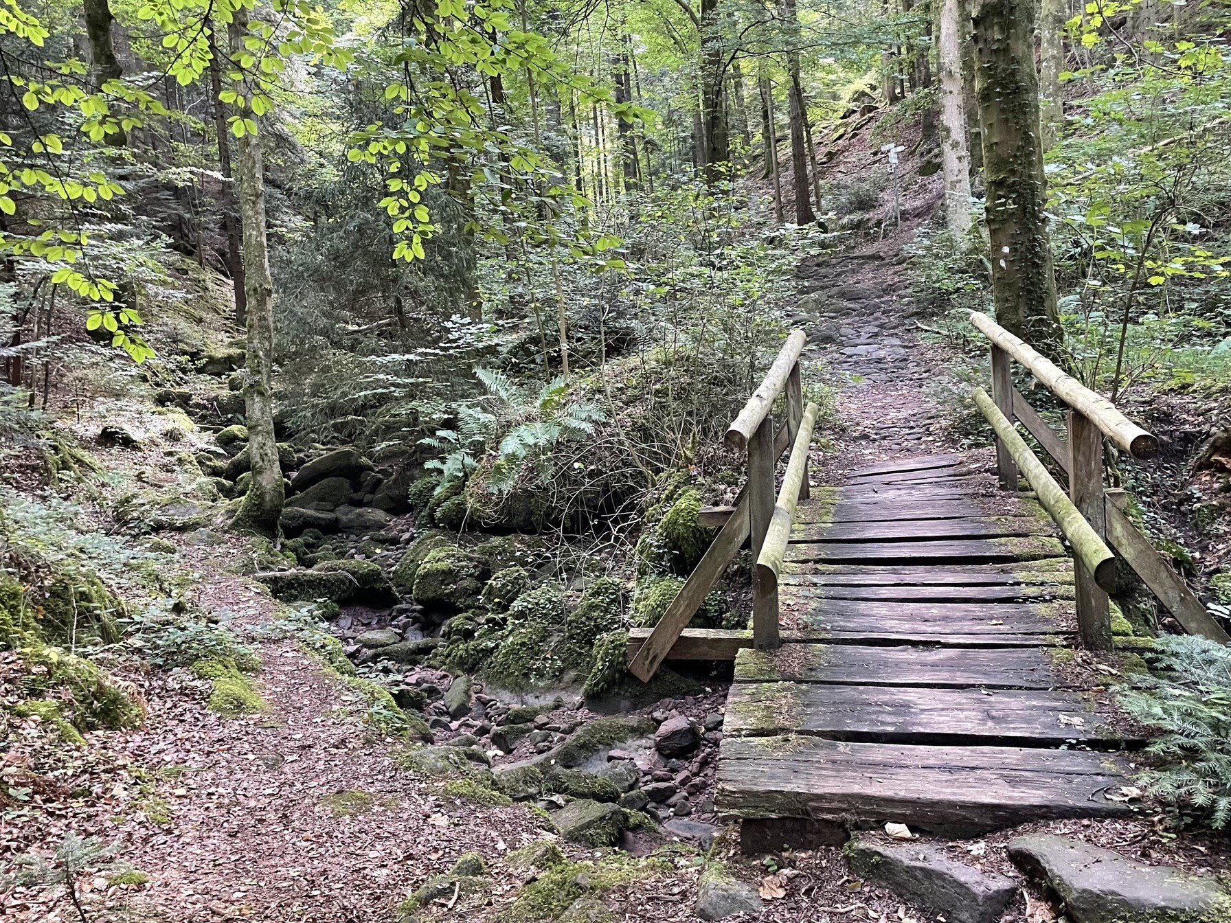 Wanderungen mit Gisela