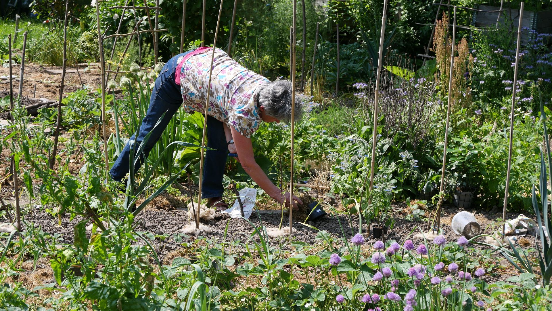 Gartenfreunde