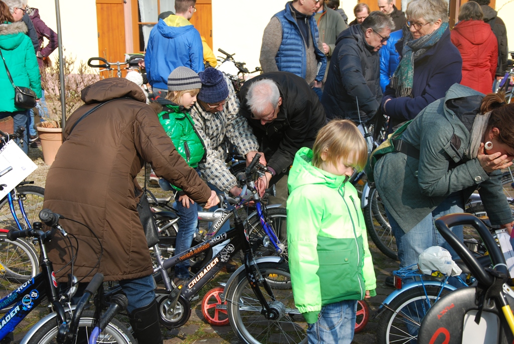 Fahradfloh2016 2