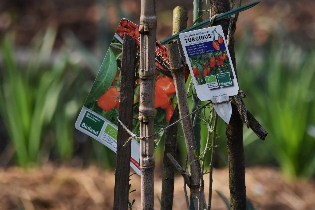 Garten Frühling2019 11