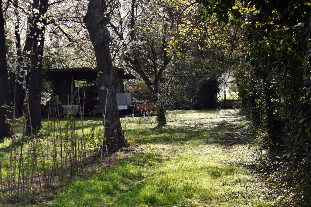 Garten Frühling2019 14