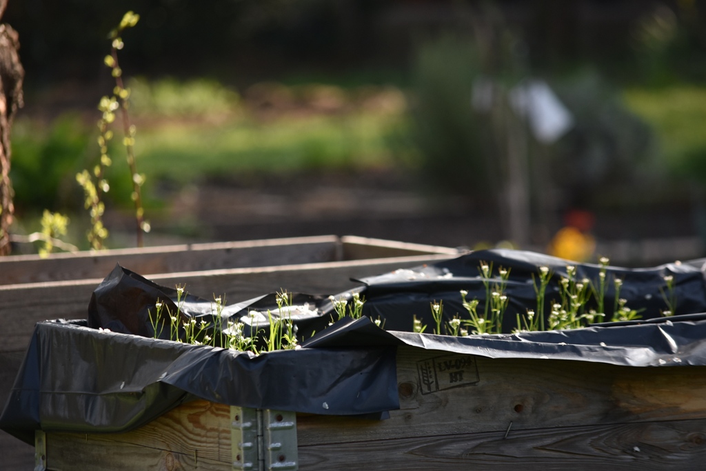 Garten Frühling2019 2