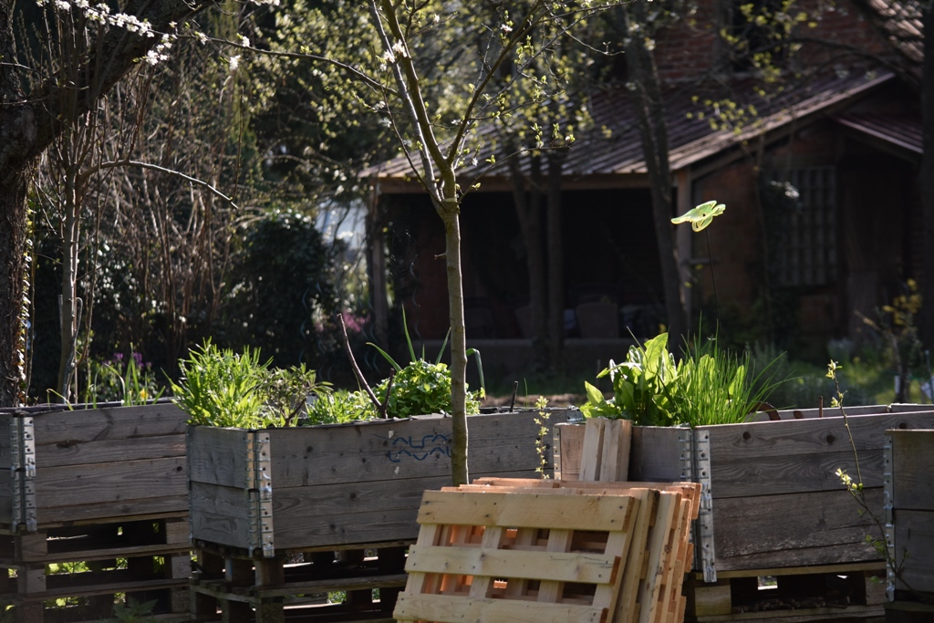 Garten Frühling2019 3