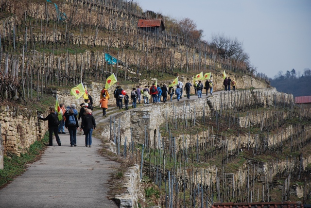 Gruppe Demo